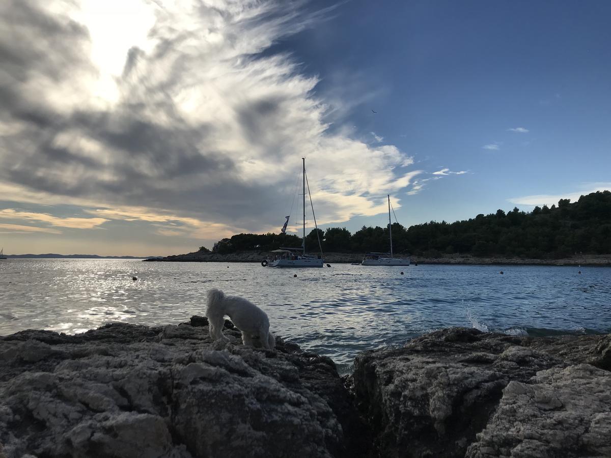 Guesthouse Davorka Bijelic مورتير المظهر الخارجي الصورة